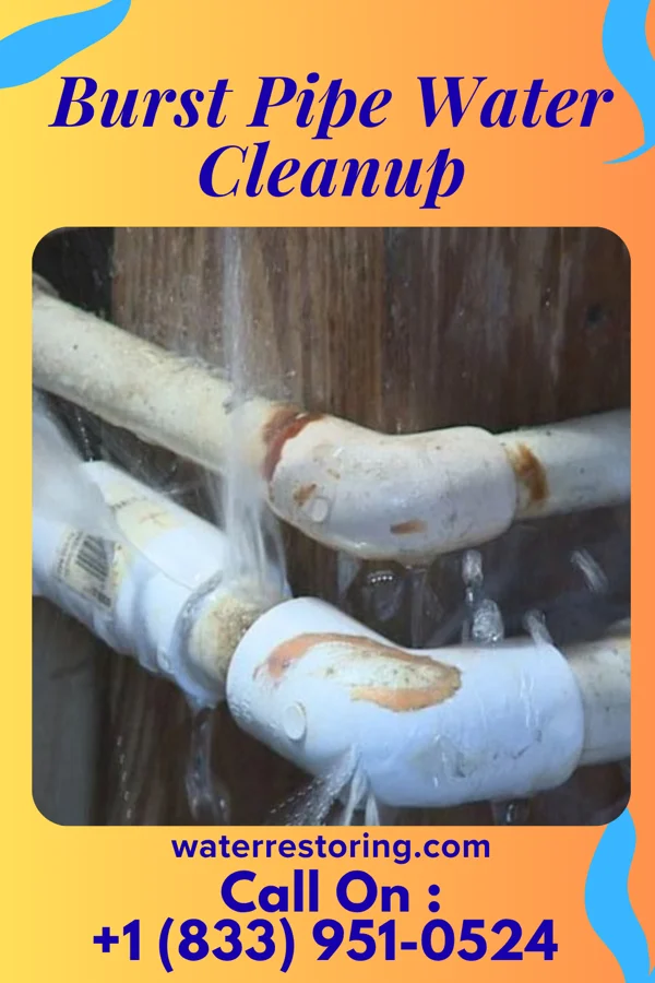 Burst Pipe Water Cleanup in Coal Fork, WV