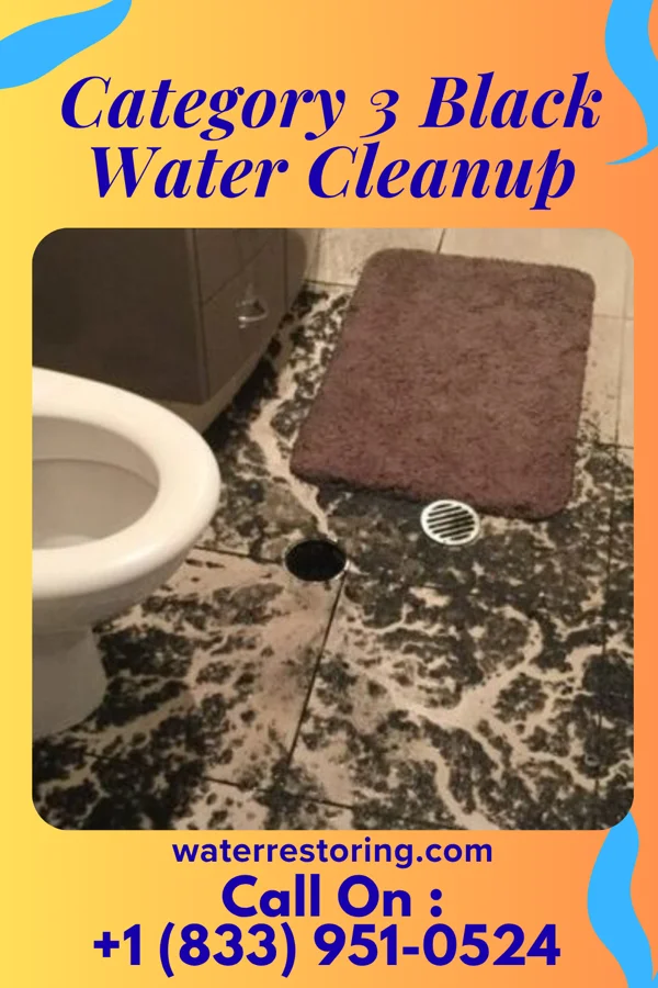 Category 3 Black Water Cleanup in Coal Fork, WV