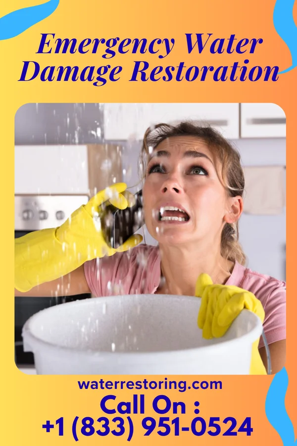 Emergency Water Damage Restoration in Coal Fork, WV