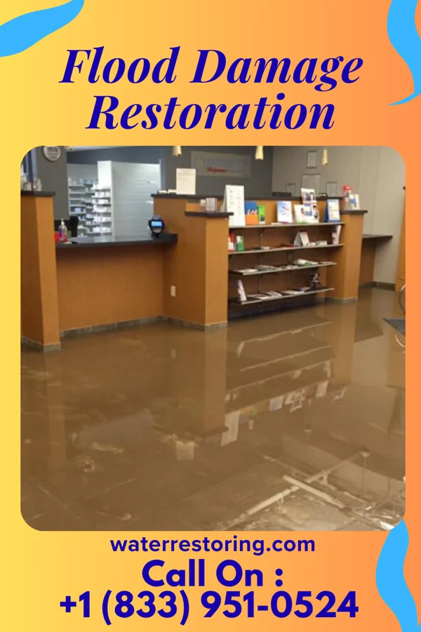 Flood Damage Restoration in Coal Fork, WV
